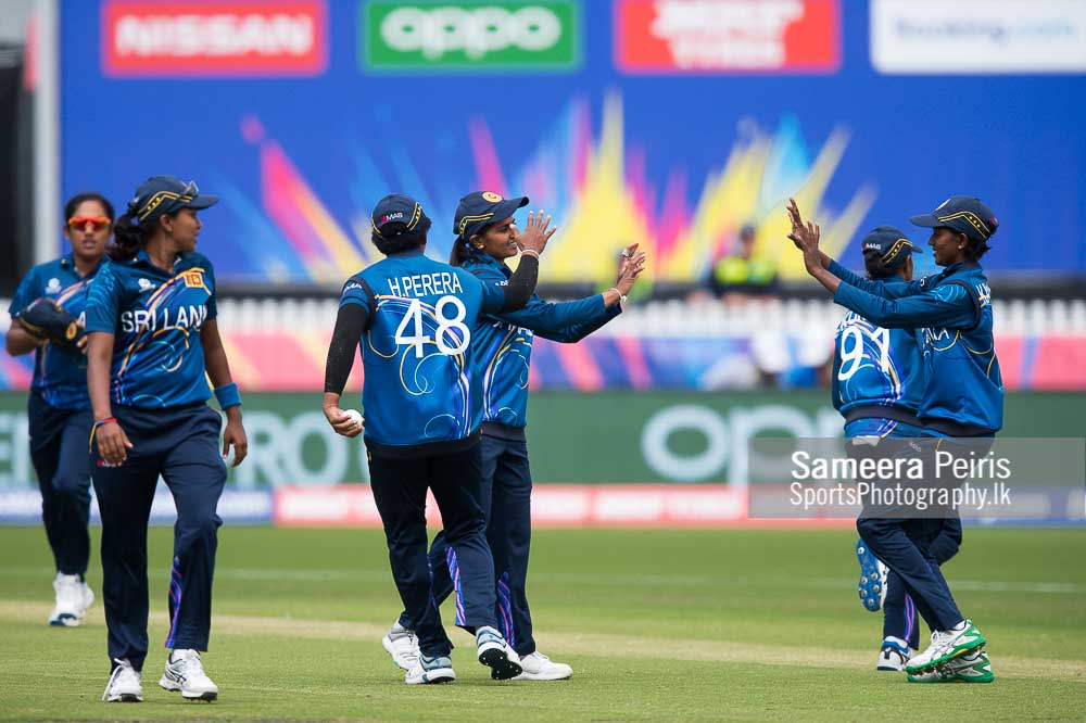 World cup focus takes centre stage ahead of T20i series against Sri Lanka